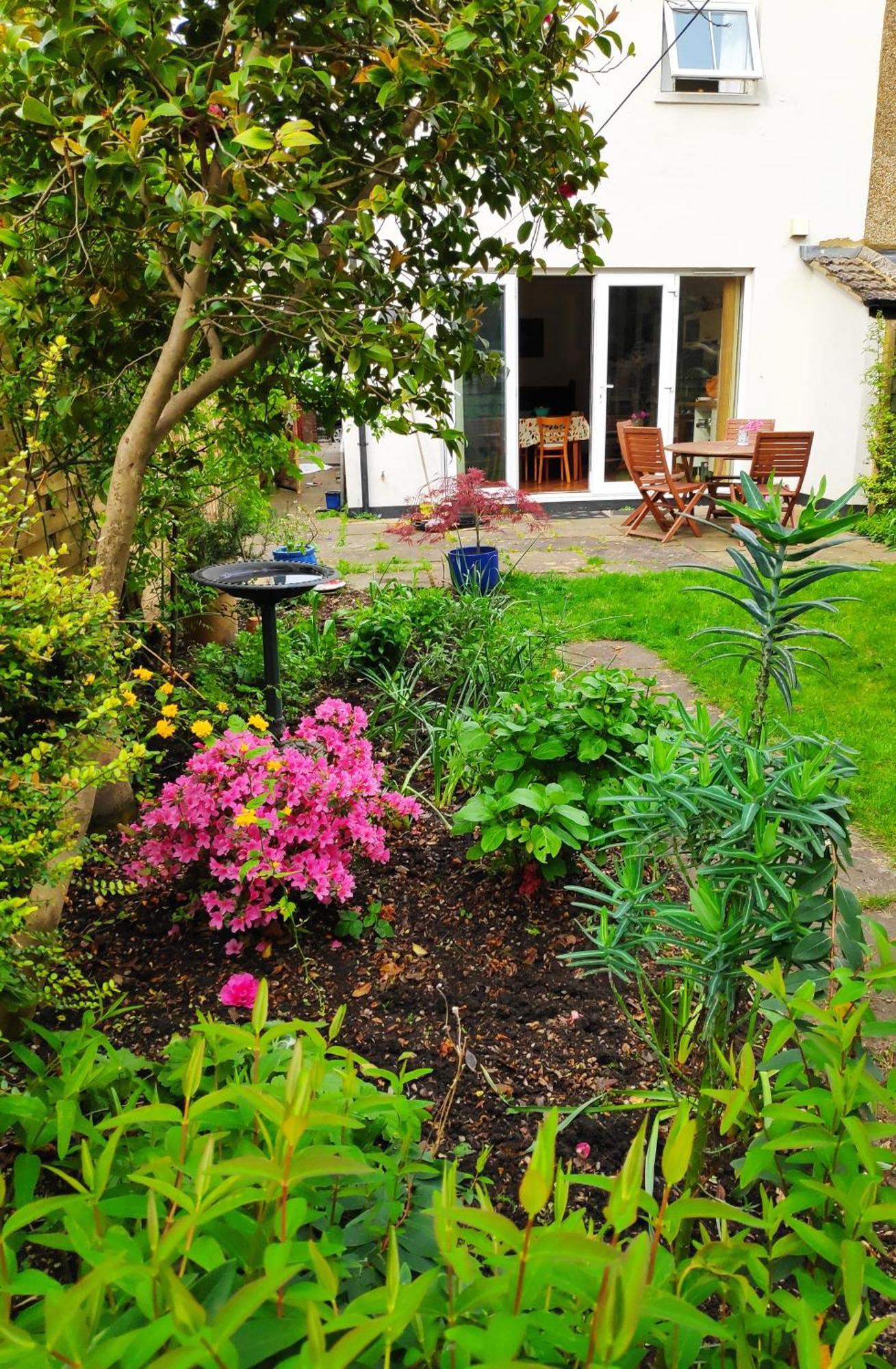 Stylish Victorian House Watford (Hertfordshire)